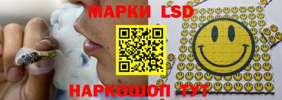 apvp Моздок