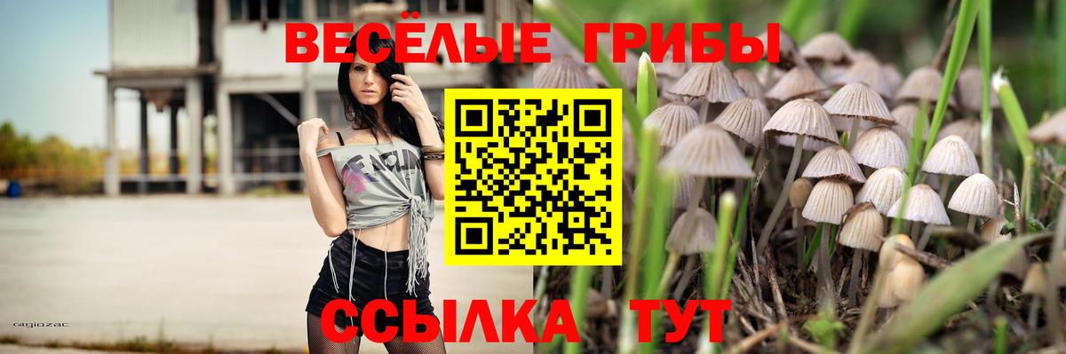 Чистополь  купить закладку  Псилоцибиновые грибы Psilocybine cubensis  Вход с VPN  Галлюциногенные грибы Cubensis 